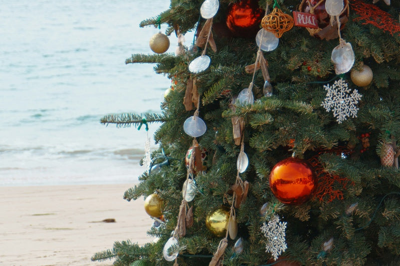 Chritsmas Tree Beach