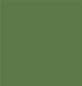 khushclothing TOPS The Hunter Green Marquesas Top