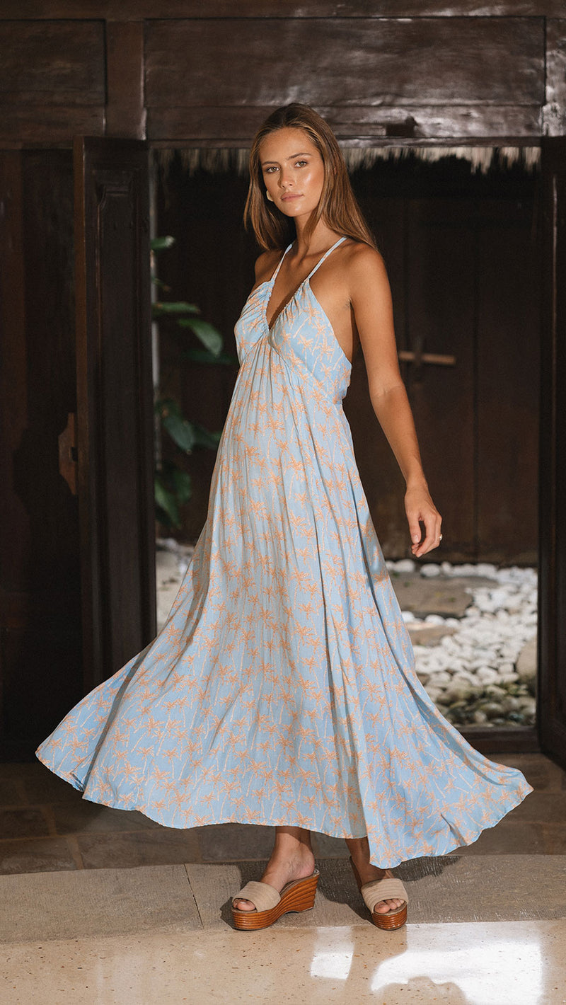 Sky Blue Larch Maxi Dress